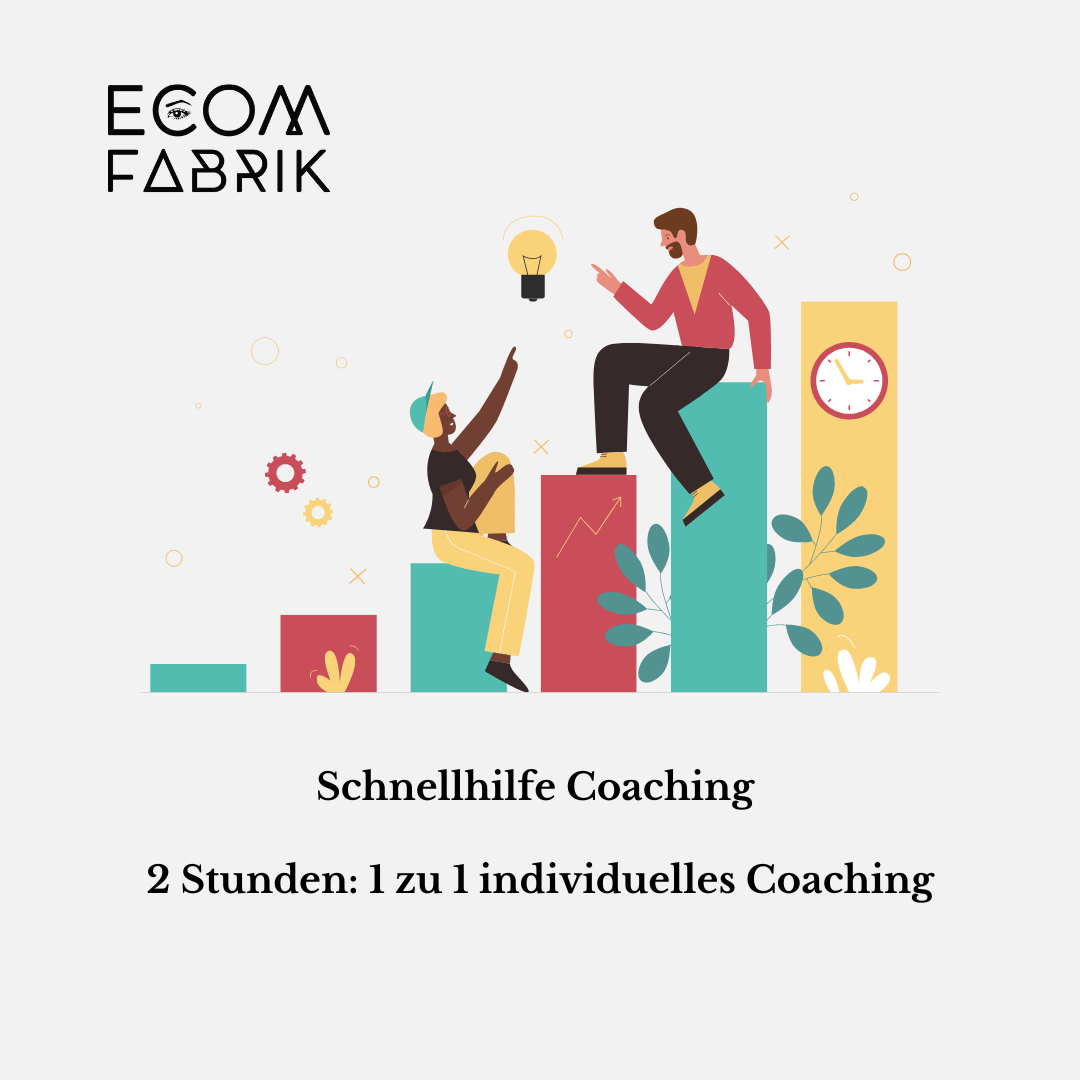 Schnellhilfe | 2 Stunden: 1 zu 1 individuelles Coaching